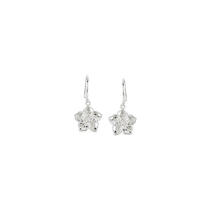 Diamond Fashion, Earrings, Diamond Earrings, Symbols/Nature, 14K White