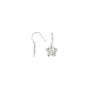 Diamond Fashion, Earrings, Diamond Earrings, Symbols/Nature, 14K White